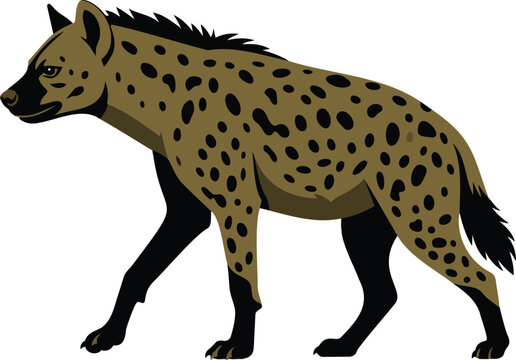 Spotted hyena vector illustration of a wild African predator walking in profile view.