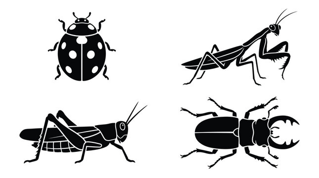 Insect silhouettes Ladybug praying mantis grasshopper and stag beetle