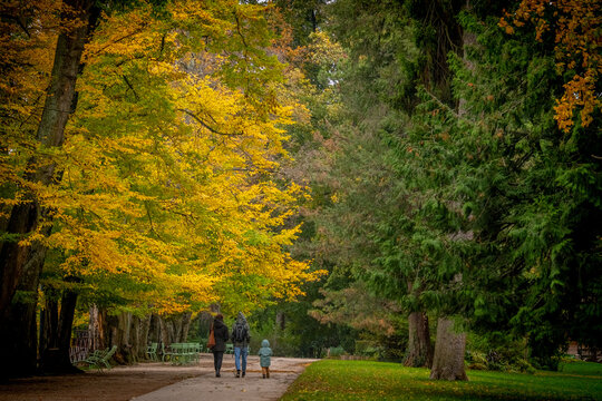 Quand arrive l'automne