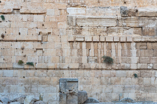 Detail of the ancient stone blocks of the Western Wall (Wailing Wall, Kotel) in Jerusalem with wild plants growing between crevices