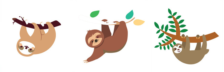 Fototapeta premium Sloth animal hanging on tree branch cartoon set, cute wildlife character in brown and beige with leaves vector illustration design