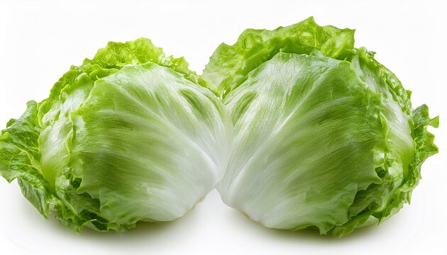 Fresh Iceberg Letuce Isolated On White Background With Clipping Path