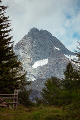 Obraz premium Grossglockner framed by alpine forest in the Austrian Alps