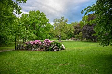 Fototapeta premium Beautiful landscaped urban park with lush trees, green lawn, shrubs, and blooming spring flowers. Well-maintained city garden with colorful floral arrangements and tall trees. Park in Stockholm. 