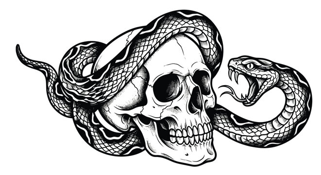 Black and white traditional tattoo illustration of a venomous snake with fangs bared coiled around a human skull, featuring high contrast linework and detailed scales on white background.