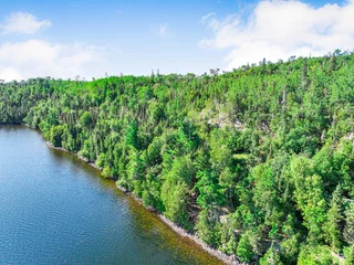 Fotobehang Olijf Scenic aerial view of a dense green forest coastline bordering a pristine blue lake under a bright cloudy sky with blue water summer landscape pine trees wilderness area landscape wilderness  © SMHT ART WORKS