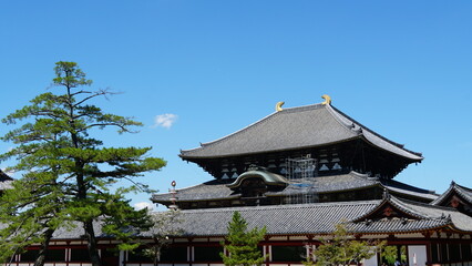 Fototapeta premium Historic Todai-ji Temple and the Great Buddha Hall in Nara, Japan