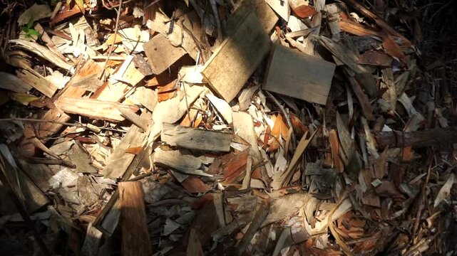 Top view of a pile of wood chips and leftover board cutoffs in a timber processing industry.