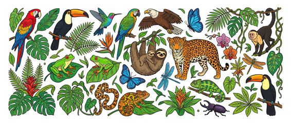 Fototapeta premium Jungle Wildlife and Exotic Plants Collection