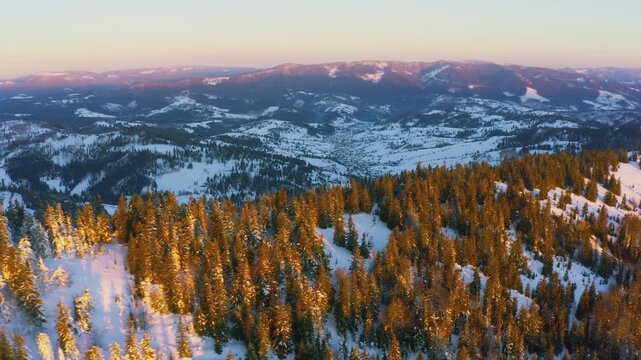 An extraordinary valley with hills and mountains covered with fir forests against the backdrop of a bright pink sunset