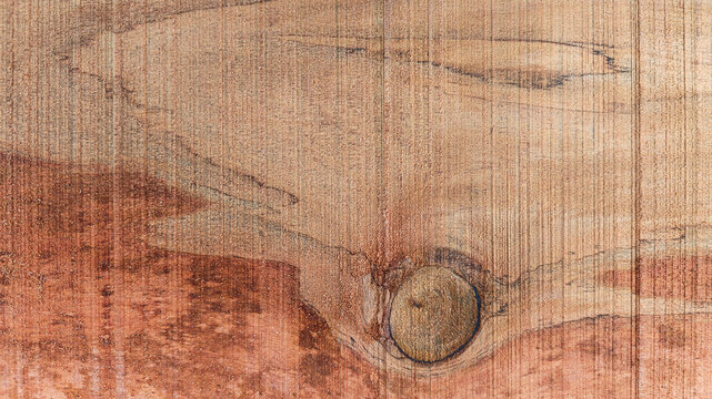High Contrast Two Tone Wood Texture Background with Large Round Knot