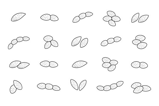 Bacterial pneumonia pathogen icon set; illustration isolated on a transparent background.