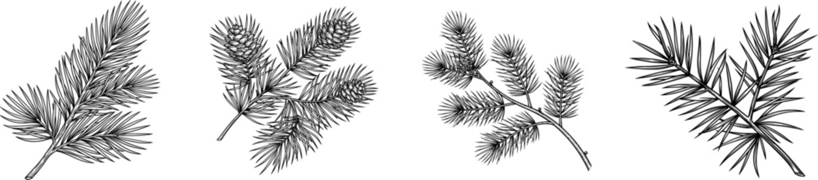 A minimalist black-and-white pine branch table decoration with intricate line art stands elegantly against a pristine white background