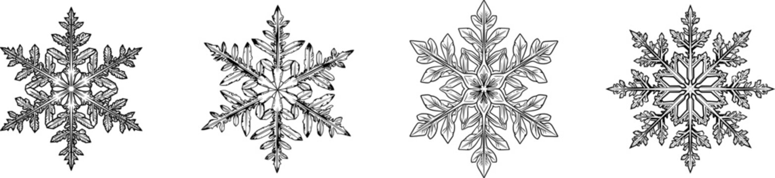 A delicate snowflake in intricate black-and-white line art, showcasing a symmetrical six-pointed design with perfect crisp lines against a white background