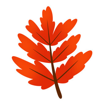 Stylized Orange Autumn Leaf Branch