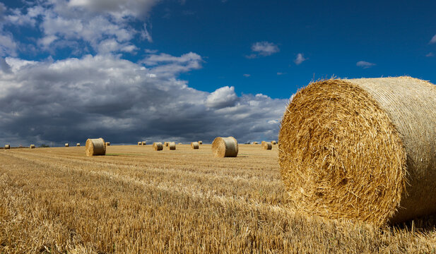 Large Round straw bales on a rolling hill, with a striking contrasting sky