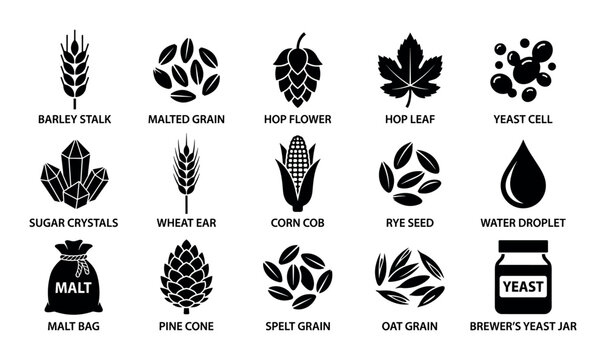 Craft beer ingredients vector icons with barley stalk, malted grain and hop flower for presentation design in silhouette style