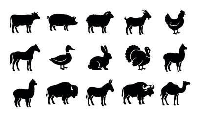 Obraz premium Livestock animals icon set with cow, pig and sheep for presentation design in solid glyph style