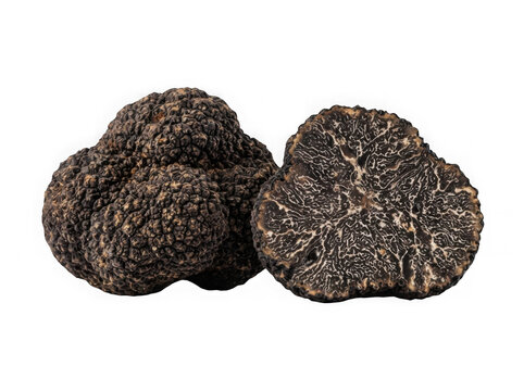 Two fresh black truffles isolated isolated on transparent background