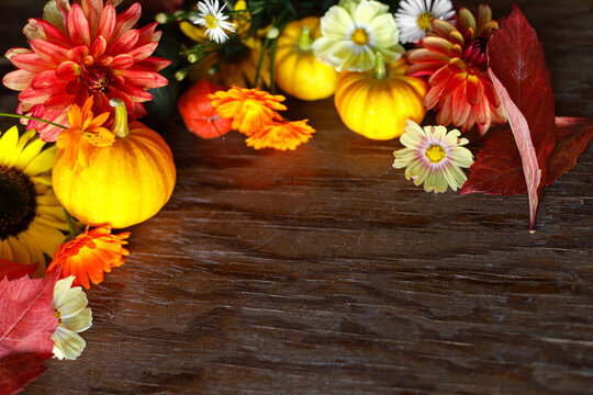 Thanksgiving flat lay. Autumn flat lay with pumpkins, fall leaves, flowers, berries on rustic wood. Happy Thanksgiving. Season greeting card  border, template with space for text. Harvest time