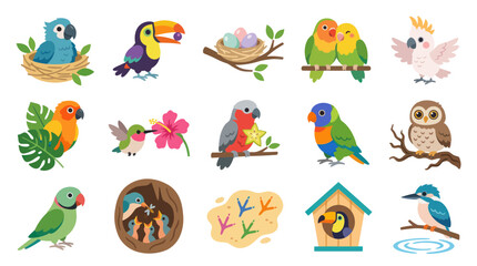 Fototapeta premium Flat Cartoon Vector Bird Illustrations: Diverse Animal Collection with Cute Parrots, Toucans, Owls, Nests