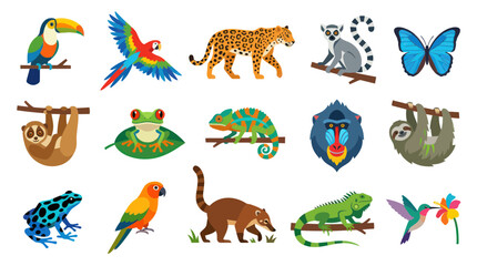 Fototapeta premium Flat Vector Cartoon Set of Exotic Tropical Rainforest Animals. Cute Wildlife Creatures Collection.
