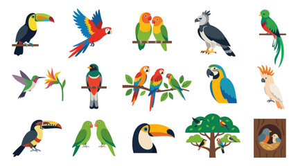 Fototapeta premium Flat Design Tropical Exotic Birds Vector Illustration Set: Toucans, Macaws, Parrots, Hummingbirds, and More