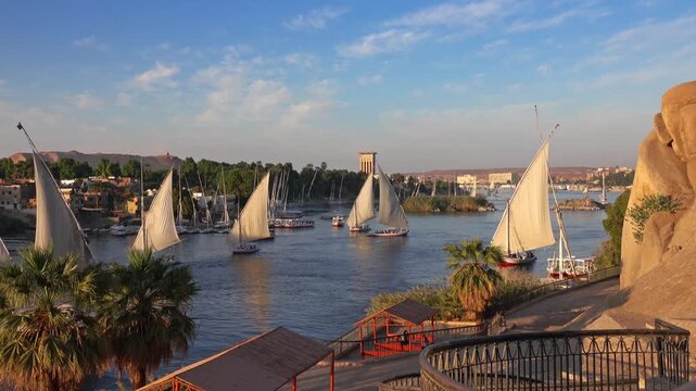 View of traditional felucca sailboats gliding on the Nile River with palm trees and rocky banks in Aswan, Aswan Governorate, Egypt.