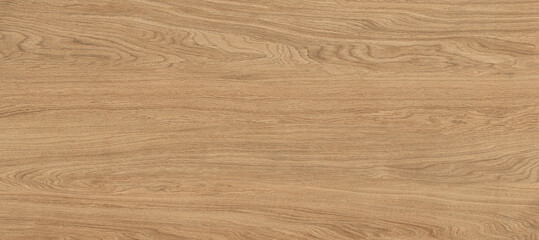 Oak wood texture, wooden panel background © Vidal