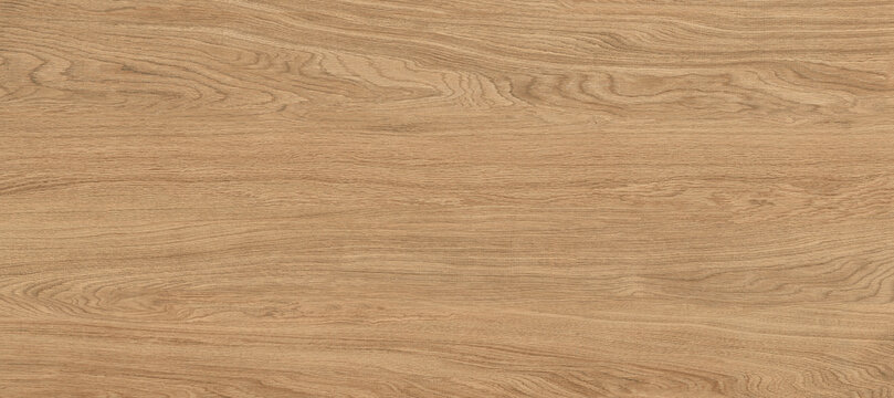 Oak wood texture, wooden panel background