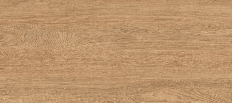 Oak wood texture, wooden panel background