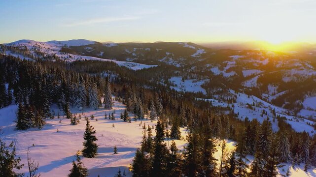 An extraordinary valley with hills and mountains covered with fir forests against the backdrop of a bright fiery sunset