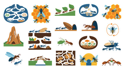 Fototapeta premium Nature and Biology Flat Vector Set: Ants, Bees, Insect Colonies, Social Structure, and Habitat Icons