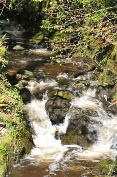 Wildwasserbach auf der Isle of Man