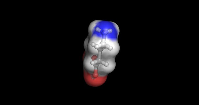 Gamma-aminobutyric acid (GABA), the primary inhibitory neurotransmitter in the central nervous system that regulates neuronal excitability and reduces nerve transmission, 3D molecule spinning, 4K