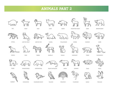 Animal icons. Vector icon set