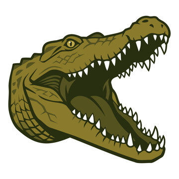 Aggressive Crocodile Head Mascot Illustration with Open Jaws and Sharp Teeth