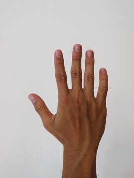 A close up of a human hand showing five fingers against a plain white background.
