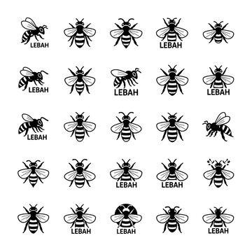 Bee vector illustration set, black and white bee icons, bee logo, honey bee design elements, insect graphic