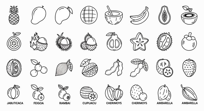 Collection of hand-drawn fruit icons, perfect for food-related designs, healthy eating concepts, and culinary projects