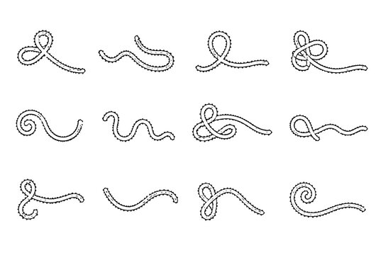 Ebola virus icon set, illustration isolated on a transparent background