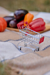 Miniature shopping cart on blanket with colorful vegetables in background © Svitlofor