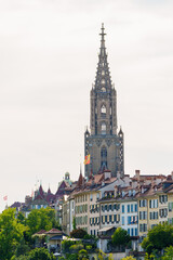 Fototapeta premium Tall spire rises above historic rooftops. Grey stone contrasts with soft sky and green trees. Buildings display classic European architecture. View suggests quiet charm of a historic city