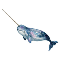 Narwhal, watercolor illustration vector, isolated on a white background. © F-ART