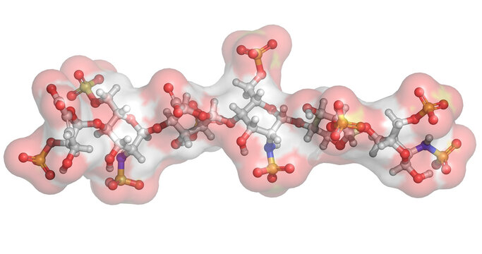 Heparin hexasaccharide, blood anticoagulant, 3D molecule 4K