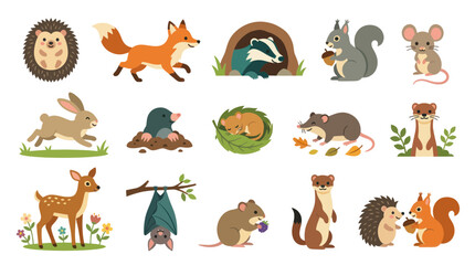 Obraz premium Cute Woodland Animals Collection: Fox, Hedgehog, Squirrel, Deer, Bat, Mouse, Mole