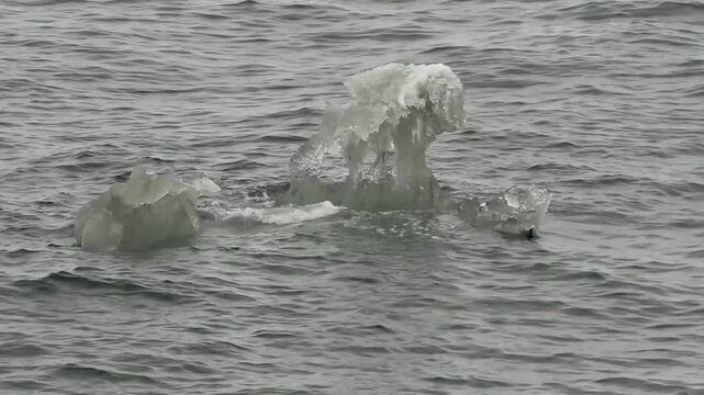 Floating Antarctic ice breaking apart and melting in cold seawater, highlighting the fragile and dynamic nature of the polar environment.