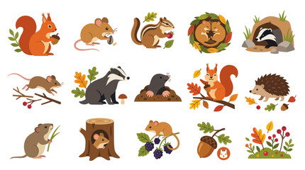 Fototapeta premium Cute Flat Vector Woodland Animals Set: Squirrel, Mouse, Hedgehog, Badger, Mole, Chipmunk for Autumn