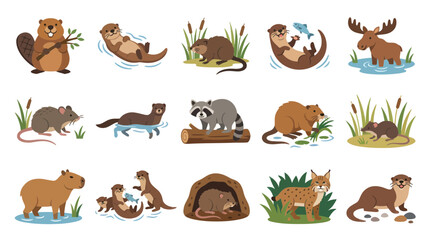 Obraz premium Flat Cartoon Wetland and Forest Mammals Vector Collection: Beavers, Otters, Raccoons, Moose. Nature Wildlife Animals.