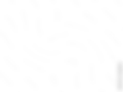 white gradient background on transparent background. White light effects. Glowing isolated bright transparent light effects.